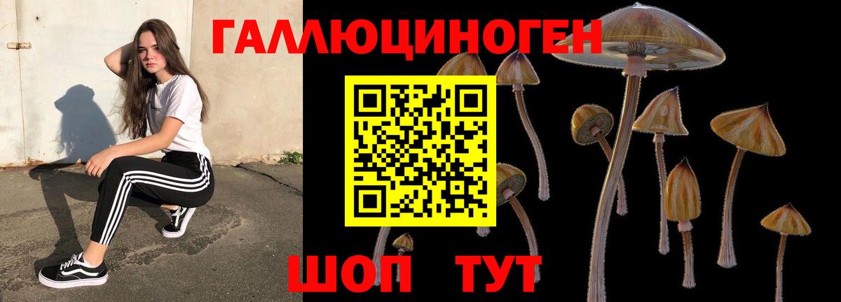 Псилоцибиновые грибы мицелий  Псилоцибиновые грибы мухоморы  Вход с VPN  Ртищево 