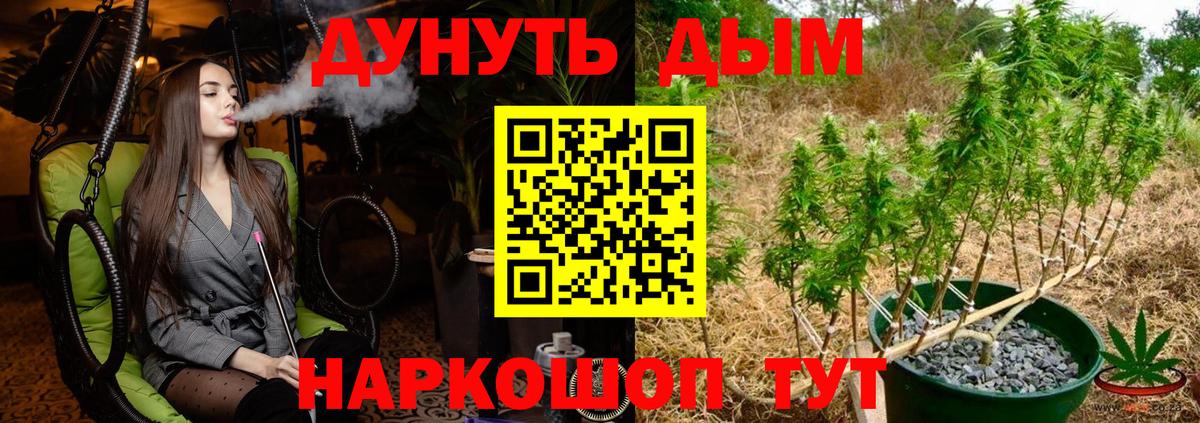 Бошки Шишки гибрид Ртищево